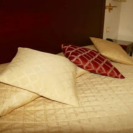 호텔 알레산드로 델라 스피나 피사