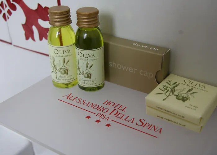 Hotel Alessandro Della Spina Pisa