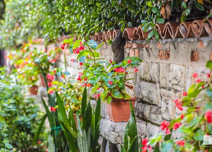 Alessandro Della Spina 3* Pisa