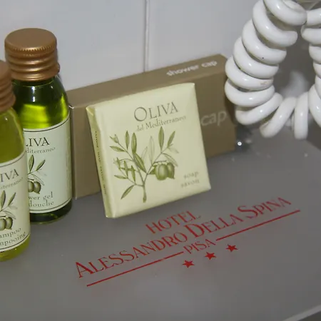 Alessandro Della Spina 3* Пиза