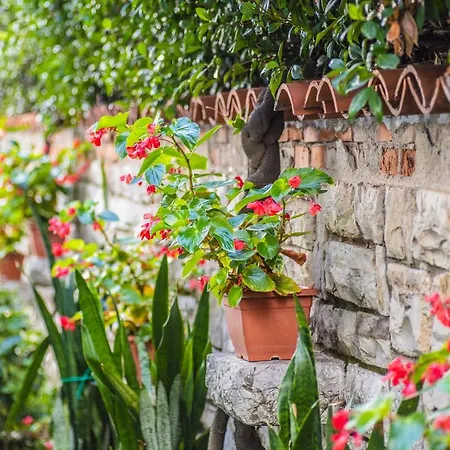 Alessandro Della Spina 3* Пиза